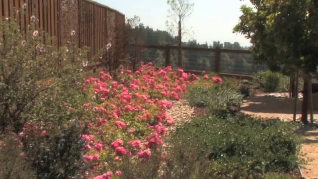 Regale Winery смотреть онлайн