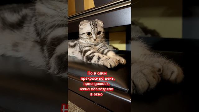 Притча, которая нам всем пригодится в жизни…досмотрите до конца🙏❤️