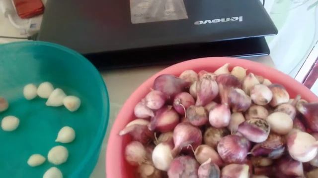 Заморозка чеснока самый удобный способ хранения. 30.05.2018г. смотреть онлайн