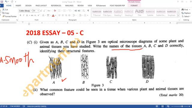 O/L Past Paper Discussion Zoom Class Grade -11 - Unit -01- English Medium #Science #Biology смотреть онлайн