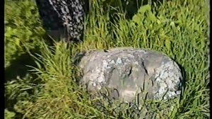 Каргополь и окрестности -  2000 г.,  3 часть