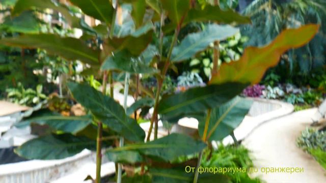 P1060235 смотреть онлайн