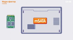 Как выбрать твердотельный накопитель SSD?