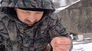 Ловля окуня на ТРОЯНе на креветку на маховое удилище!!!