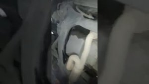 Хонда элизион проблема с приводом