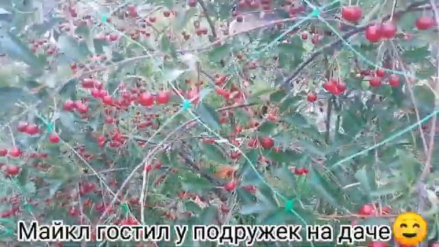 Поездка на Север 🌠 часть 3🌠 Сыктывкар -  Ухта 🌠Пляж 🌠 зверинец🌠Парк в Шудаяге 🌠 дорожная косметичка