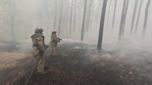 Луганская область село Александровка