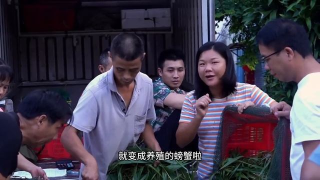 【猛貨合集】小漁全家製作魷魚幹，一排排的魷魚風幹之後再拿去曬，無需添加劑就已經很好吃！【漁小仙】 смотреть онлайн