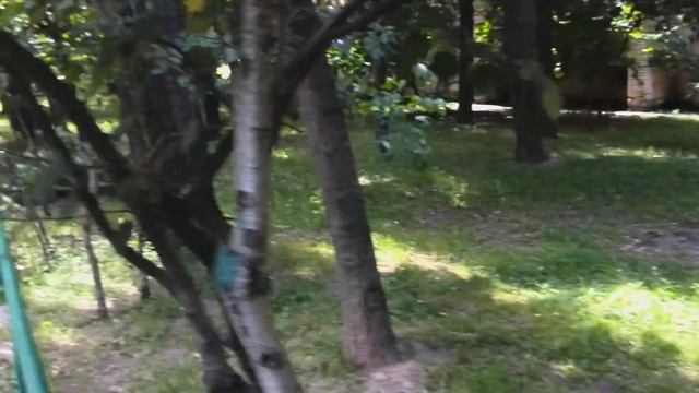 Камера Huawei Ascend Mate (camera test): пример видео в Full HD 1080p смотреть онлайн