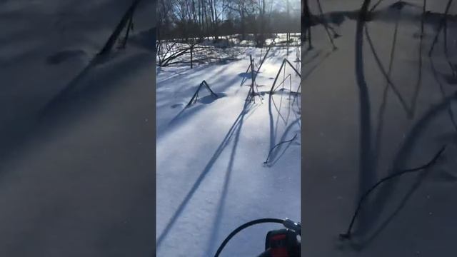 Койра с лыжным модулем смотреть онлайн