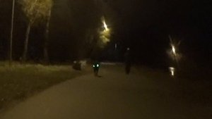 Парк 30 лет ВЛКСМ и кидающиеся Собаки. Омск Город глазами велосипедиста #311