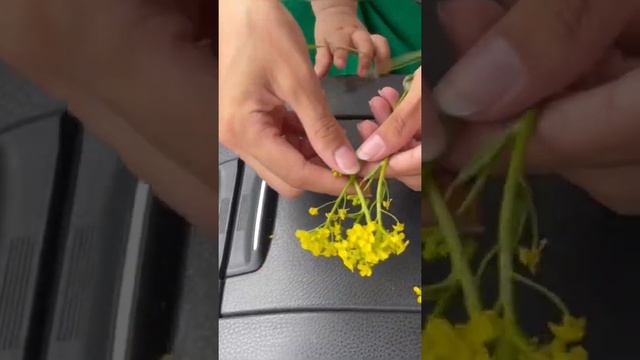 Венок на голову. Венок из цветов. смотреть онлайн