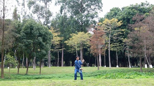 传统少林功夫桩功：呆架式&连环桩 смотреть онлайн