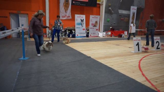 Уфа моно 1.10.16 сравнение на ЛПП окраса смотреть онлайн