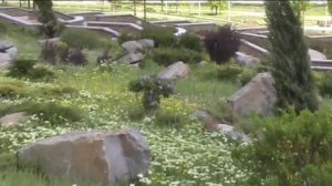 Сад камней. Какой он?