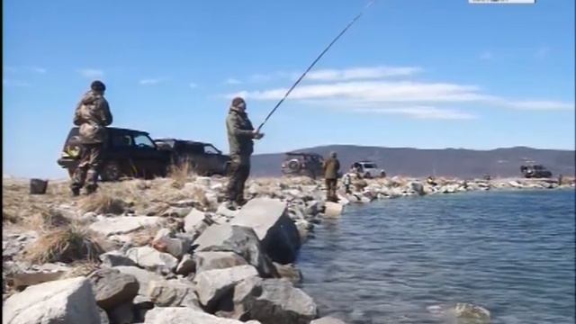 К берегам Охотского моря подошла камбала