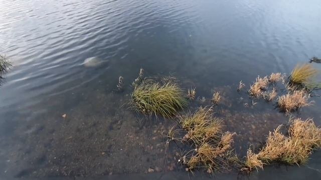 Переезд в Красноярск в 16 лет в одиночку! Про учебу, работу, ипотеку и многое другое.