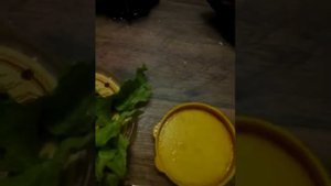 Все про больших улиток.
