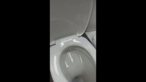 Унитаз-компакт Воротынский