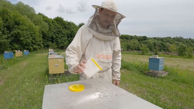 ПАСЕКА 2023 КАК ОПРЕДЕЛИТЬ, ОТКУДА ВЫШЕЛ РОЙ. смотреть онлайн