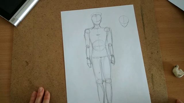 Урок 19. Пропорції людини