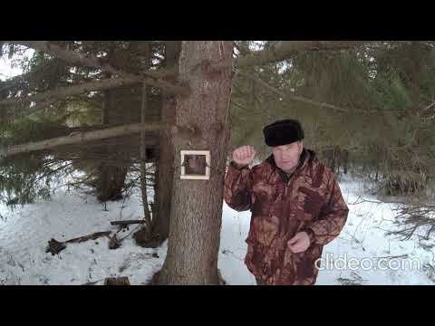 Ёлка желаний. смотреть онлайн