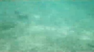 С острова Маргарита на остров Коче на катамаране  (Венесуэла)