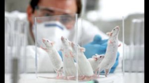 Генотерапия и её преимущества.