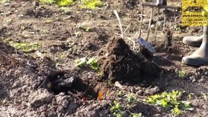Лопата Козьма с упором
