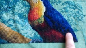 2 неделя "У истока Амазонки"