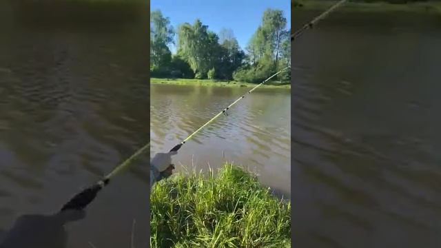 24 мая 2021 г. смотреть онлайн