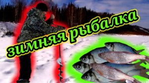 Ловля рыбы на безмотылку. Зимняя Рыбалка.