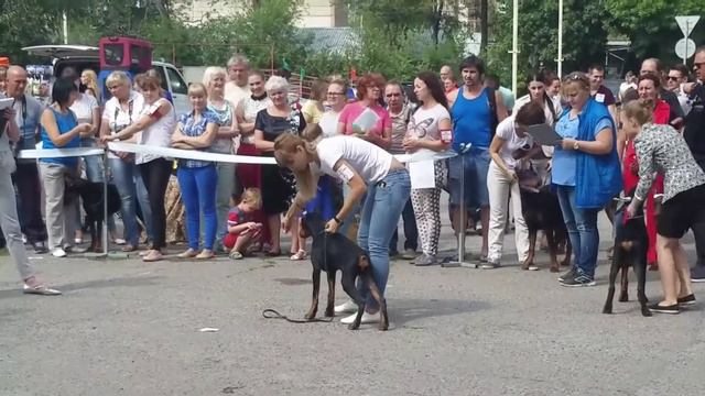 Дон Кагюст Вайлария Вайона смотреть онлайн