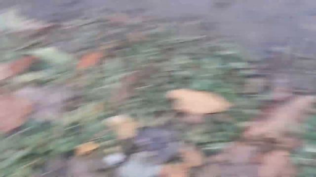 История петра (неизвестное дело) 3 часть смотреть онлайн