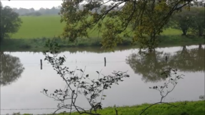 Осенняя прогулка…