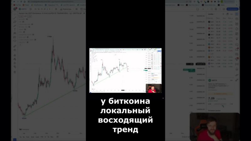 Что такое биткоин-доминация