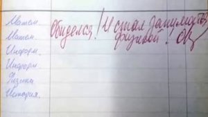 СРОЧНО ПОСМОТРИ ЭТО !!! САМЫЕ НЕОБЫЧНЫЕ ЗАМЕЧАНИЯ В ДНЕВНИКЕ !!!!