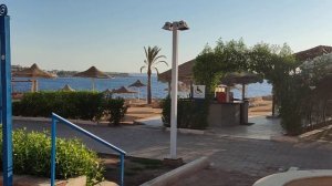 Dreams Beach Resort - Шарм-эль-Шейх 08.08.2021 часть#1