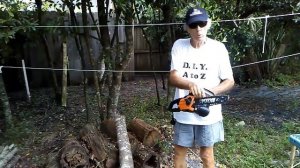 Worx Electric Chainsaw WG305.1 Review
