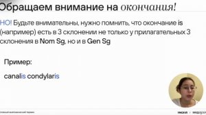 Правила перевода сложных анатомических терминов | Латынь | Медвуза