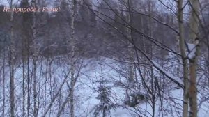 Поход на БУРАНЕ. Охота на косачей. /2 серия. Получил по носу. Первая добыча/