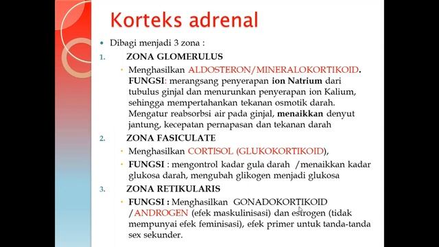 SESI 2 KELAS B ANFIS ENDOKRIN UHB 2020 смотреть онлайн