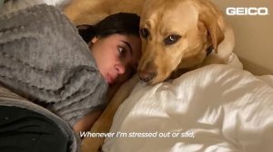 Anastasia Pagonis’ Loyal Guide Dog Sits Next To Swimming Pool During Practice | The Dodo Teammates