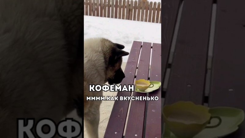 КофеманМмм.Как вкусненько