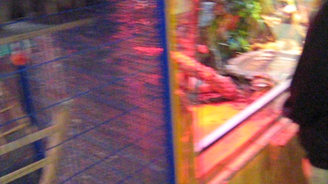 MVI_1442 смотреть онлайн