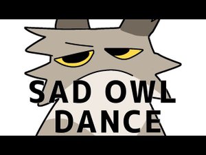 sad cat () dance