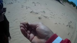 Поездка на Чёртово игрище Волгоградская область Ольховский район.