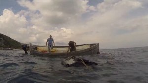 Дайвинг в Крыму в Алуште 2020. Подводный сад-музей. Wreck. Дайвинг-центр Кастель
