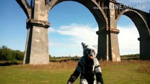 Travel to the  Mokrinsky  railway bridge / Путешествие на  Мокринский  железнодорожный мост