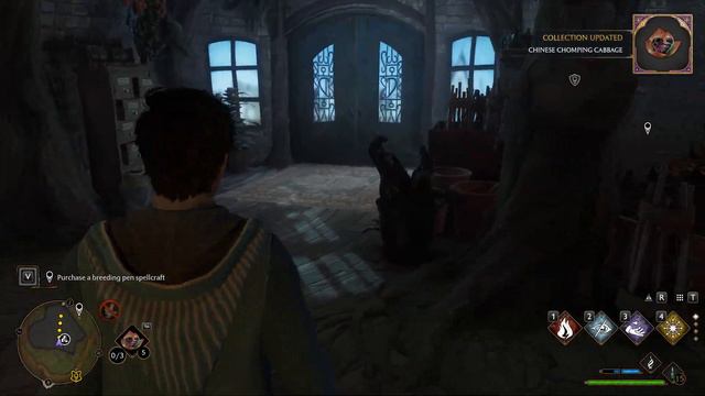 Hogwarts Legacy - Beasts Rescuing, Gameplay Part 13 [1440p QHD 60FPS PC] - No Commentary